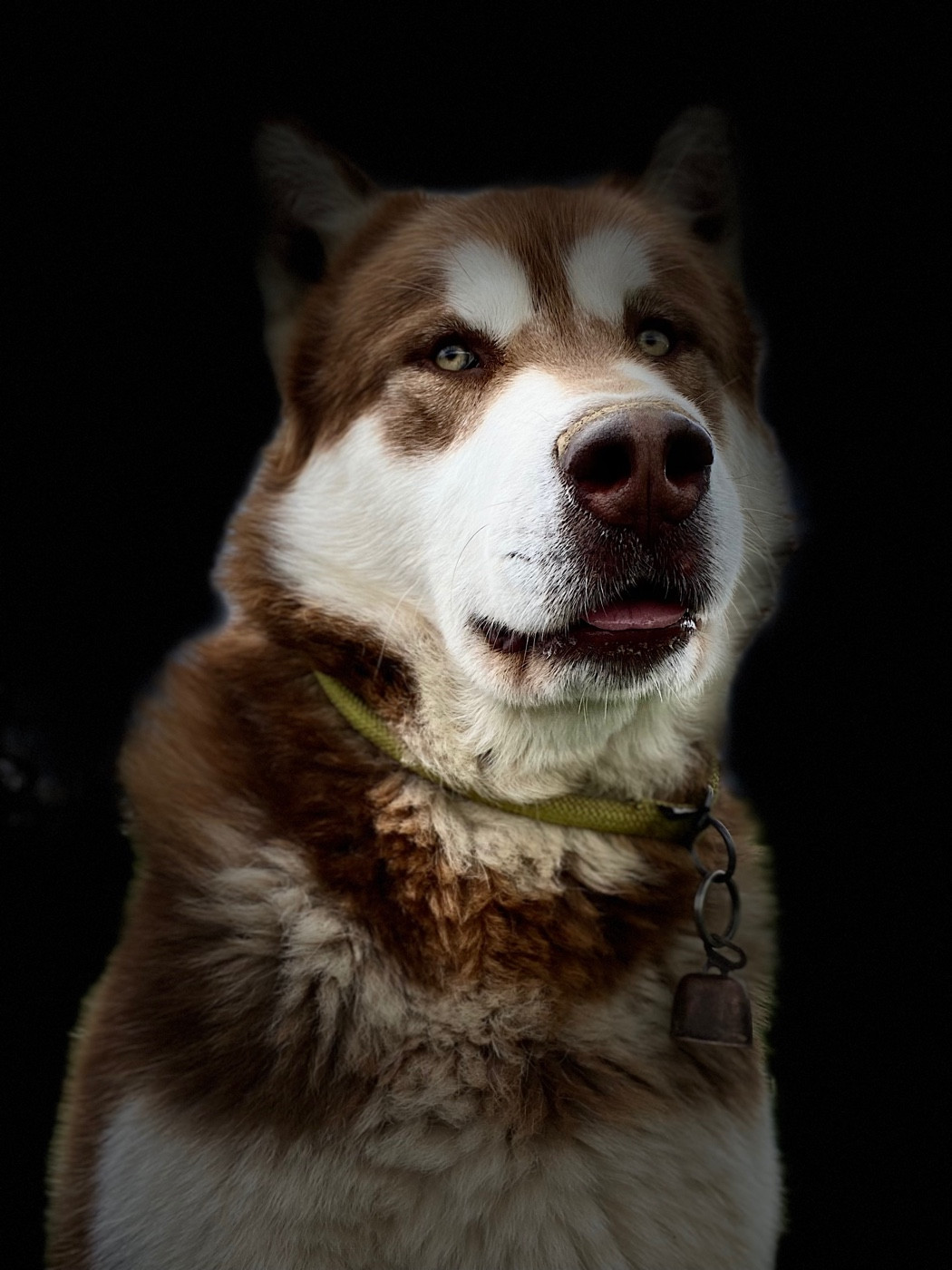 nord imperial Zefir in chokolate