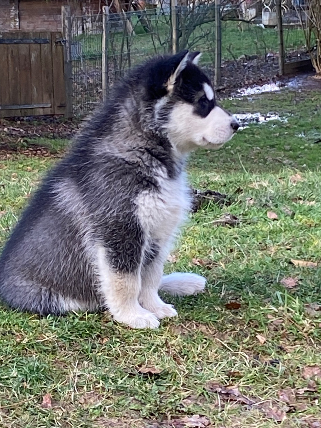 disponible à la réservation